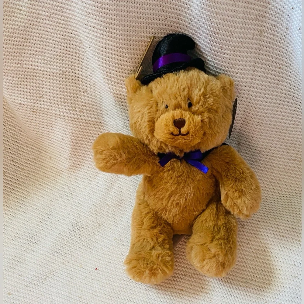 Pearhead wizard bear plush